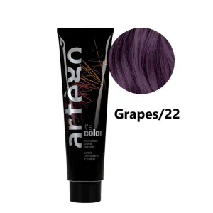 Barva na vlasy Artégo It's Color Control Grapes/22 - 150 ml