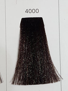 Barva na vlasy Mila 4000 100 ml